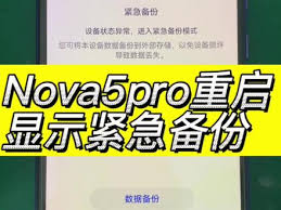荣耀手机提示紧急备份是怎么回事