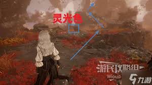 光与影33号远征队玛埃尔石刺怎么获取
