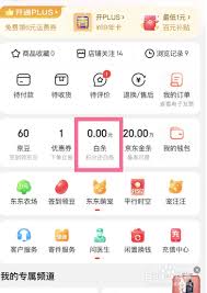 京东白条怎么分期付款