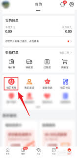 京东白条怎么使用