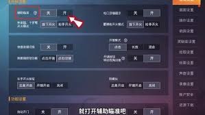 和平精英如何开启辅助