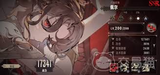 银与绯怎么玩