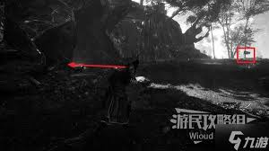 光与影33号远征队莫诺柯石杖怎么获取