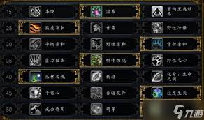魔兽世界11.1奶德大米如何天赋加点