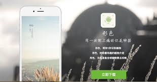 形色app如何鉴定植物