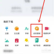 壁纸多多如何关闭视频声音
