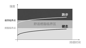 点点运动里如何约跑