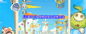 云海之下怎么获取宠物