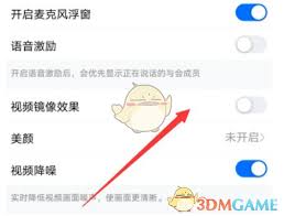 钉钉视频镜像如何调整