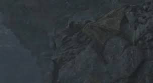 怪物猎人荒野超越巅峰尸体在哪里