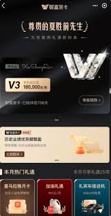 黑色支付宝象征着什么