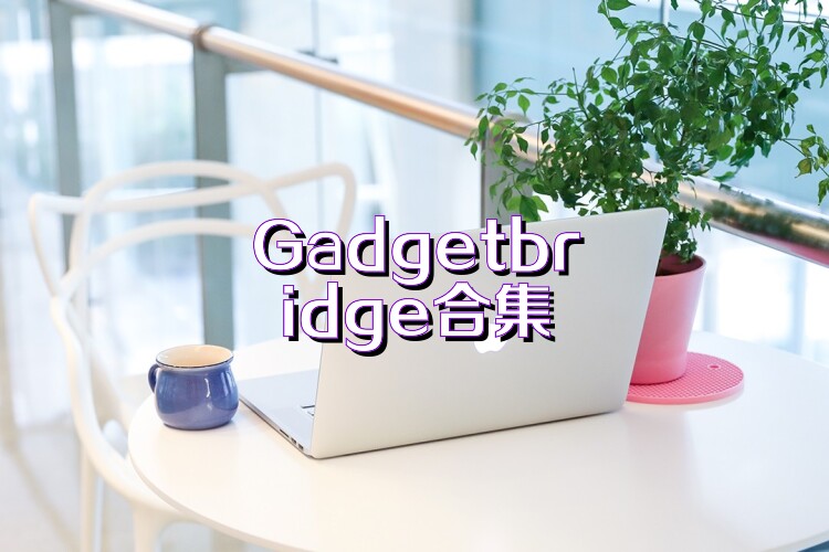 Gadgetbridge合集