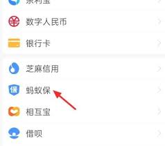 如何取消支付宝蚂蚁保险