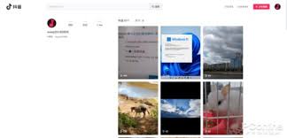 抖音网页版入口在哪能直接打开