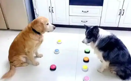 狗狗对话的手机app大全