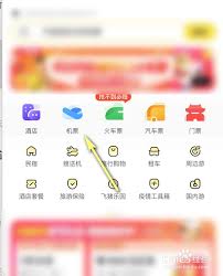 飞猪如何查看低价机票