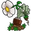 e版植物大战僵尸