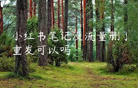 小红书笔记删除后重发的影响