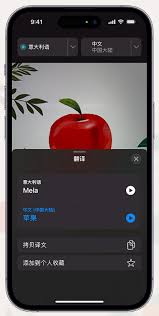 iPhone小技巧：如何利用相机取景器快速翻译文本