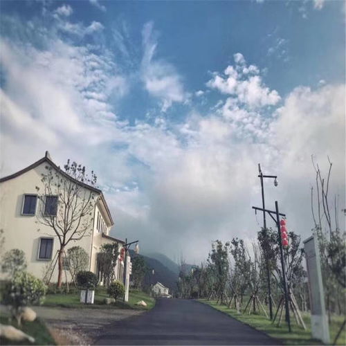 心动小镇深山楸形虫在哪里找
