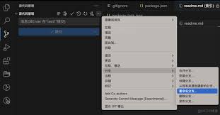 vscode如何配置git用户名和密码