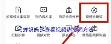 拍拍严选查看收藏