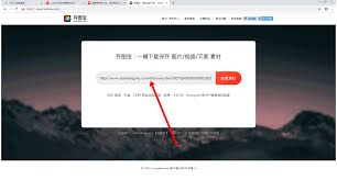 小红书视频下载方法详解