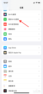 苹果手机设置4位锁屏密码