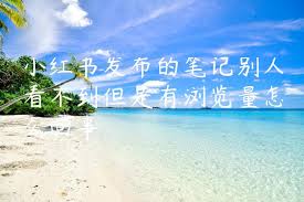 小红书发布笔记后别人无法查看原因