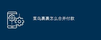 菜鸟裹裹合并付款方法