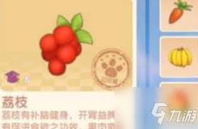 摩尔庄园荔枝百合汤食谱