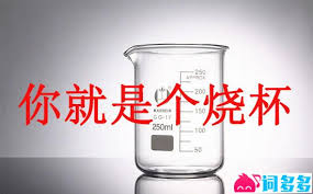 小烧杯是什么网络流行梗