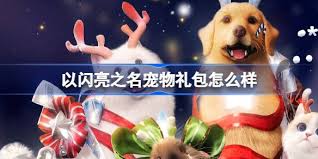 以闪亮之名圣诞宠物礼包怎么获得