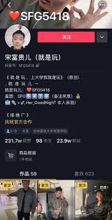 抖音就是玩是什么含义