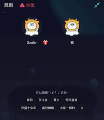 soul卸载后显示几天前