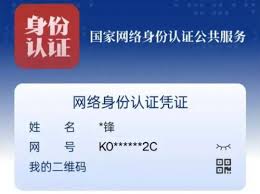 国家网络身份认证是什么