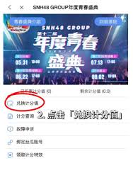 2025SNH48年度青春盛典投票方式