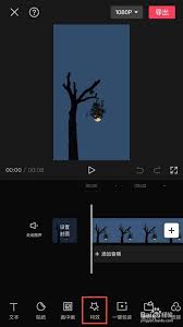 剪映怎么放大视频中的某一部分