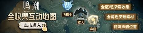 鸣潮扁竹花采集线路如何分享