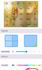 如何设置讯飞输入法自定义皮肤