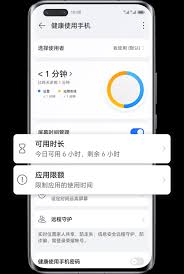 鸿蒙系统怎么看手机健康使用时间