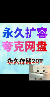 夸克大片如何永久在线观看