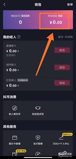 抖音钱包钱如何提现到微信