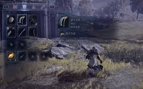 艾尔登法环黑夜君临隐城怎么速刷