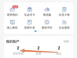 如何在中国电信查看本人名下手机号码