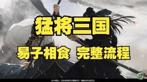 猛将三国全流程视频攻略是什么