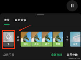 秒剪制作视频为何自动添加滤镜