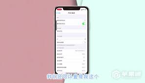 苹果如何关闭截屏声音提示功能