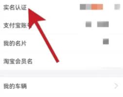 如何在支付宝更换实名认证
