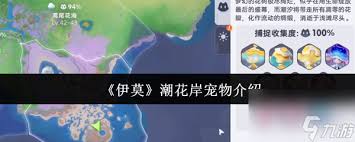 伊莫潮花岸宠物如何介绍